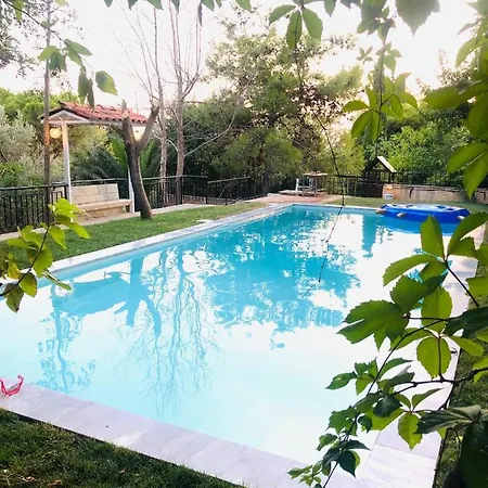 Villa Eleni Анависсос Экстерьер фото
