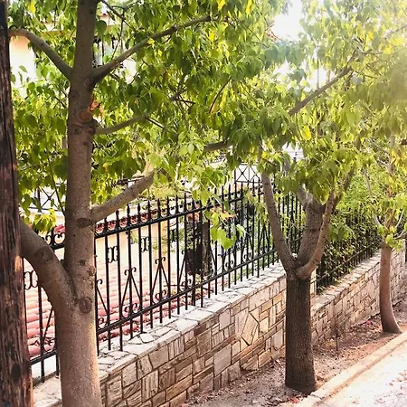 Villa Eleni Анависсос Экстерьер фото