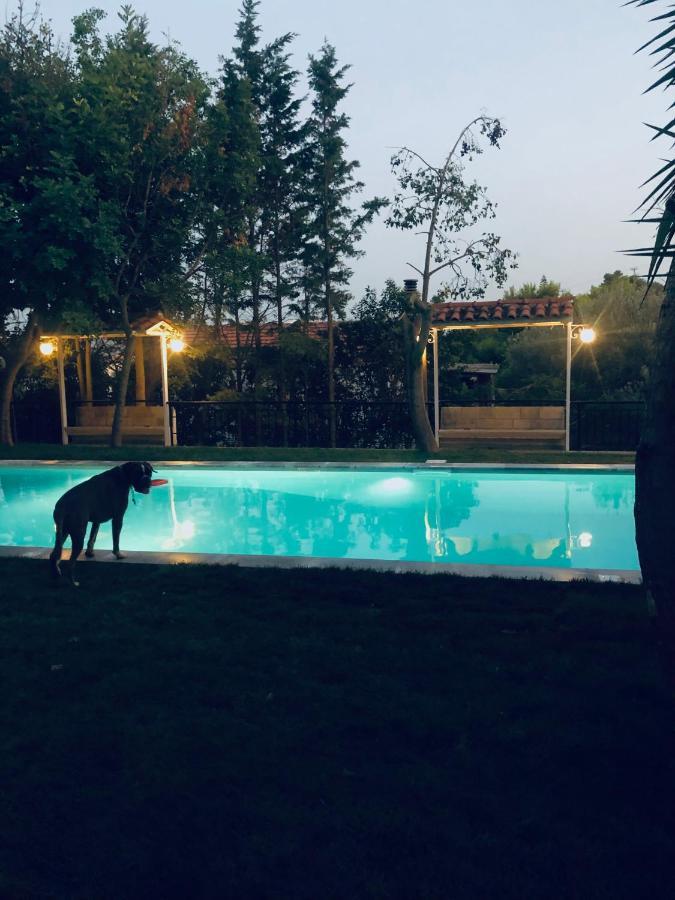Eleni *